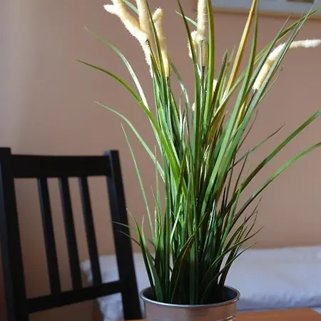 Osrodek Sportowo-wypoczynkowy Opo *