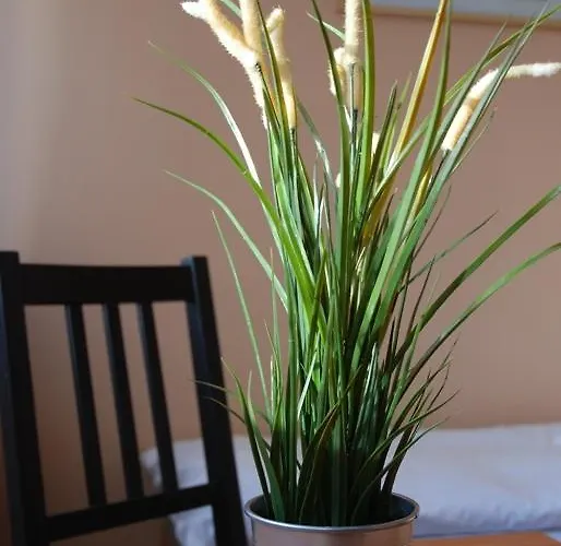 Osrodek Sportowo-wypoczynkowy Opo *